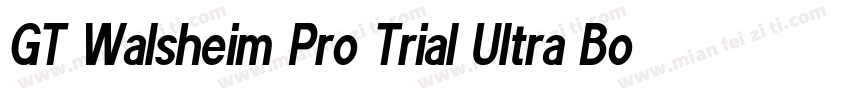GT Walsheim Pro Trial Ultra Bold Re字体转换